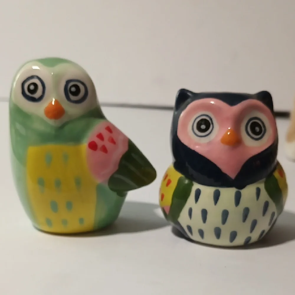 Source Unknown Colorful Owl Salt and Pepper Shakers